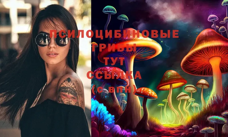 Псилоцибиновые грибы Cubensis  Карабаш 